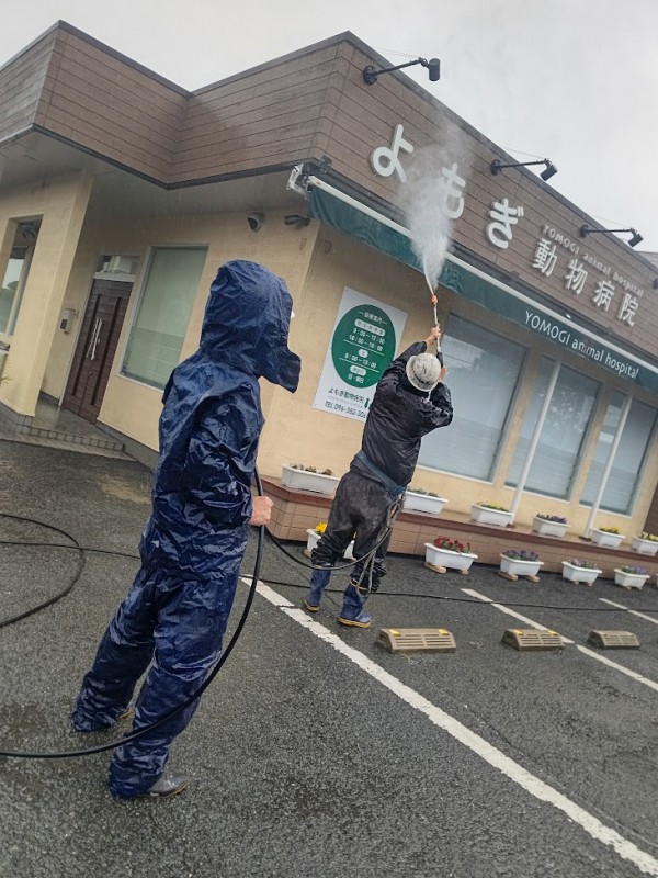 高圧洗浄　大掃除　よもぎ動物病院　熊本県熊本市北区四方寄町