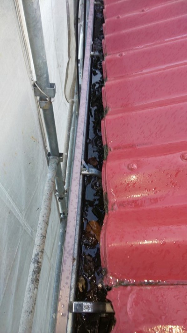 屋根塗装の時は樋掃除もサービスでさせていただきます。