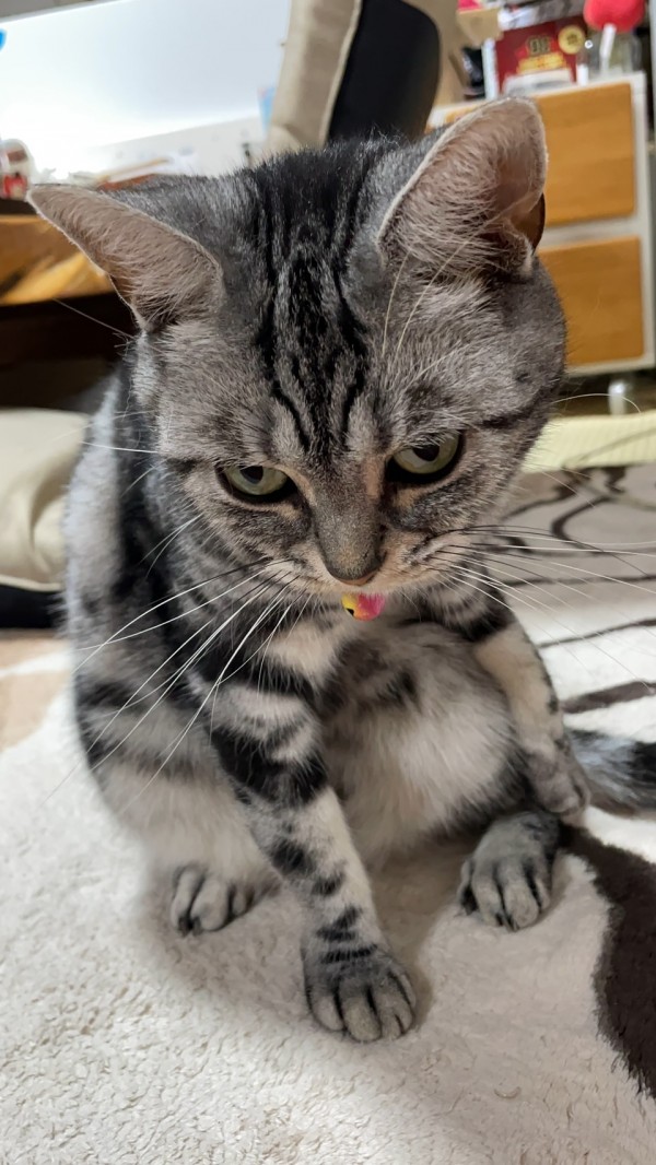今日も猛暑な1日